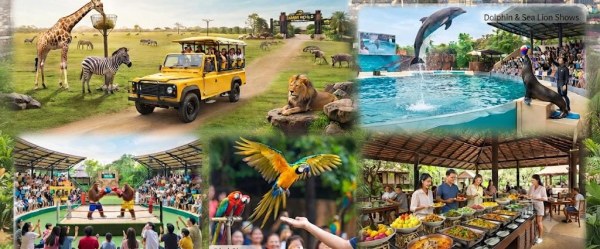 THAILAND - Bangkok - Pattaya - Transfers