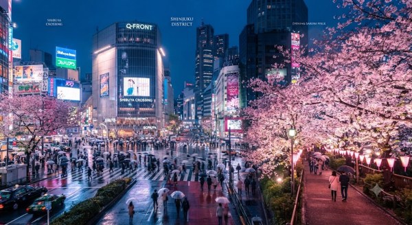 JAPAN CHERRY BLOSSOM SPECIAL 6/7 DAYS - Destinations