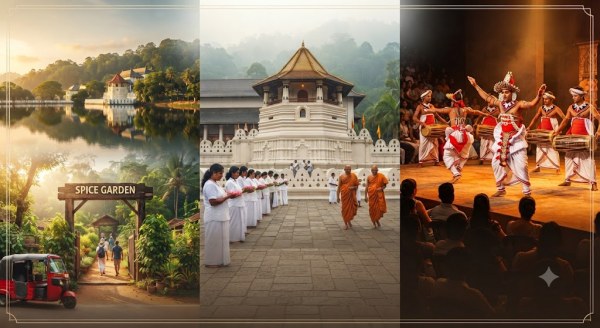 SRI LANKA - Activity & Sightseeing